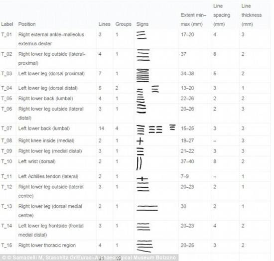 2512817c00000578 2926437 this table shows the location and shape of the tattoo groups the a 5 1422264736290