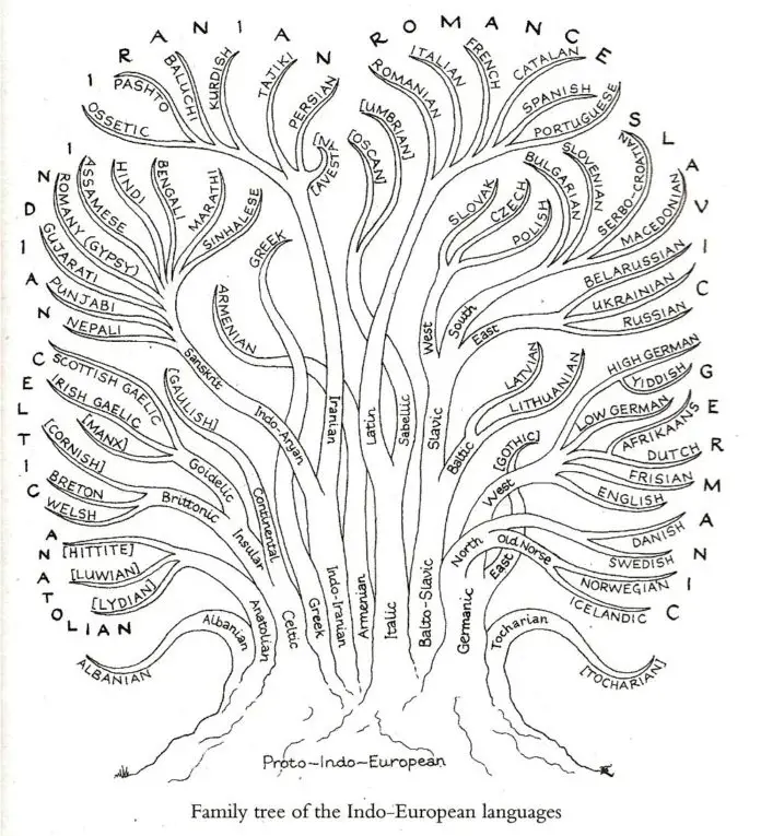 Family tree of the indo european languages english 696x765