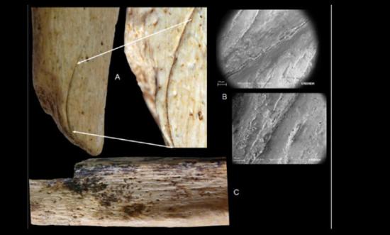 Neanderthals manipulated the bodies of adults and children shortly after death image 380