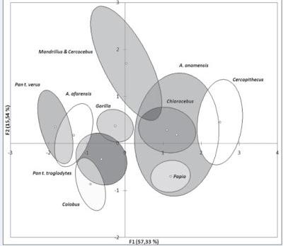 reconstructing-the-diet-of-african-hominid-australopithecus-02.jpg