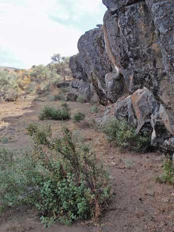 Rimrock draw rockshelter