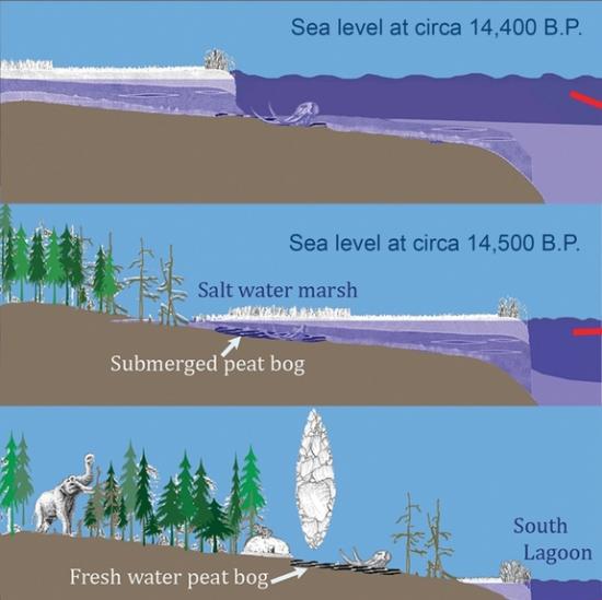 Sea level rise mastodon 1