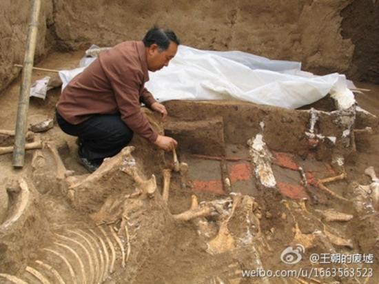 Tomb qin shi huangs grandmother has been discovered xi 1