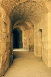 Tunnel through which gladiators entered a colosseum